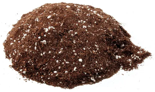 Coco Coir Perlite